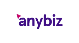 Anybiz 1 anybiz