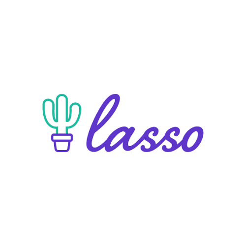Lasso 1 lasso